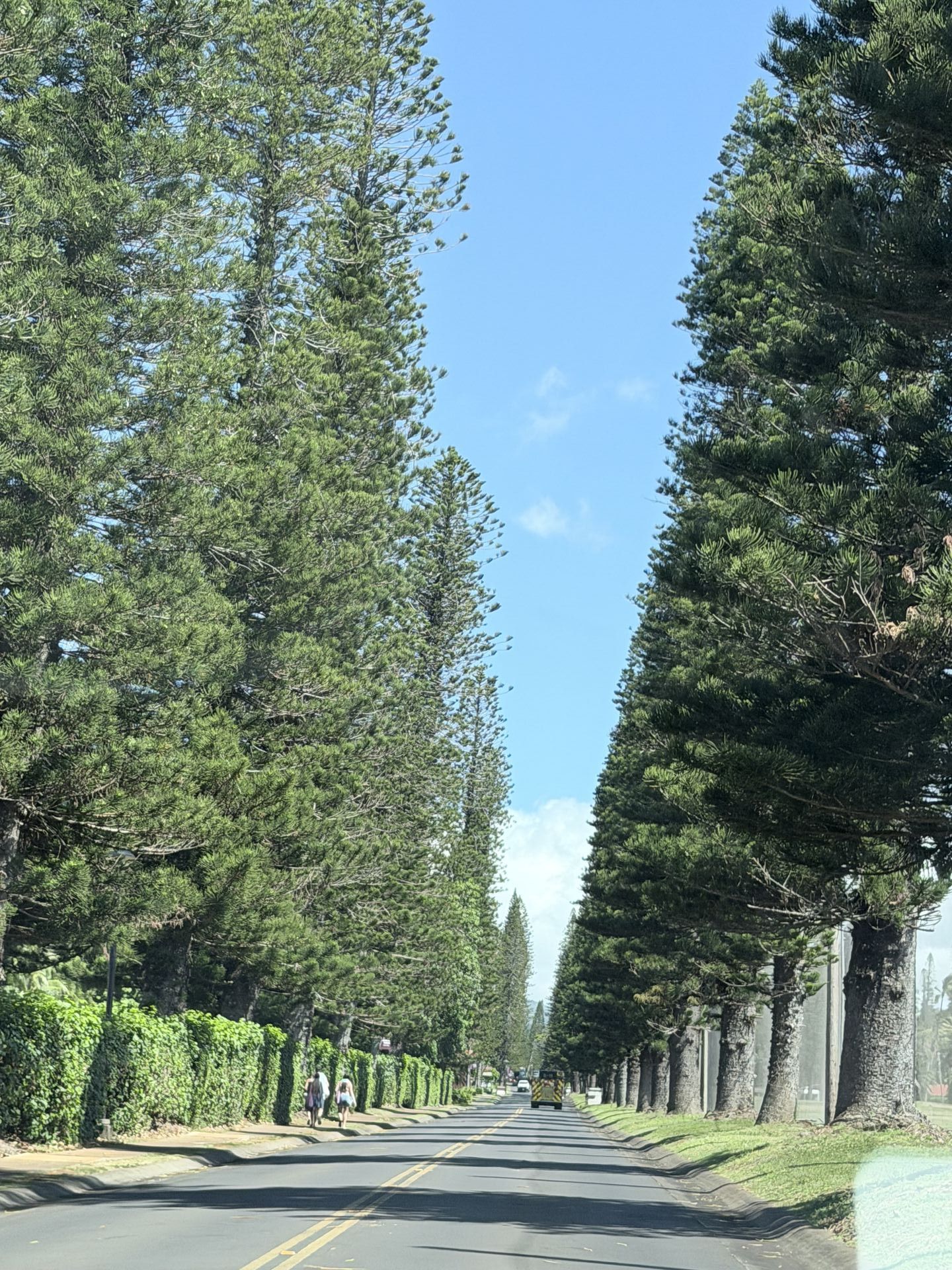 IMG 0639